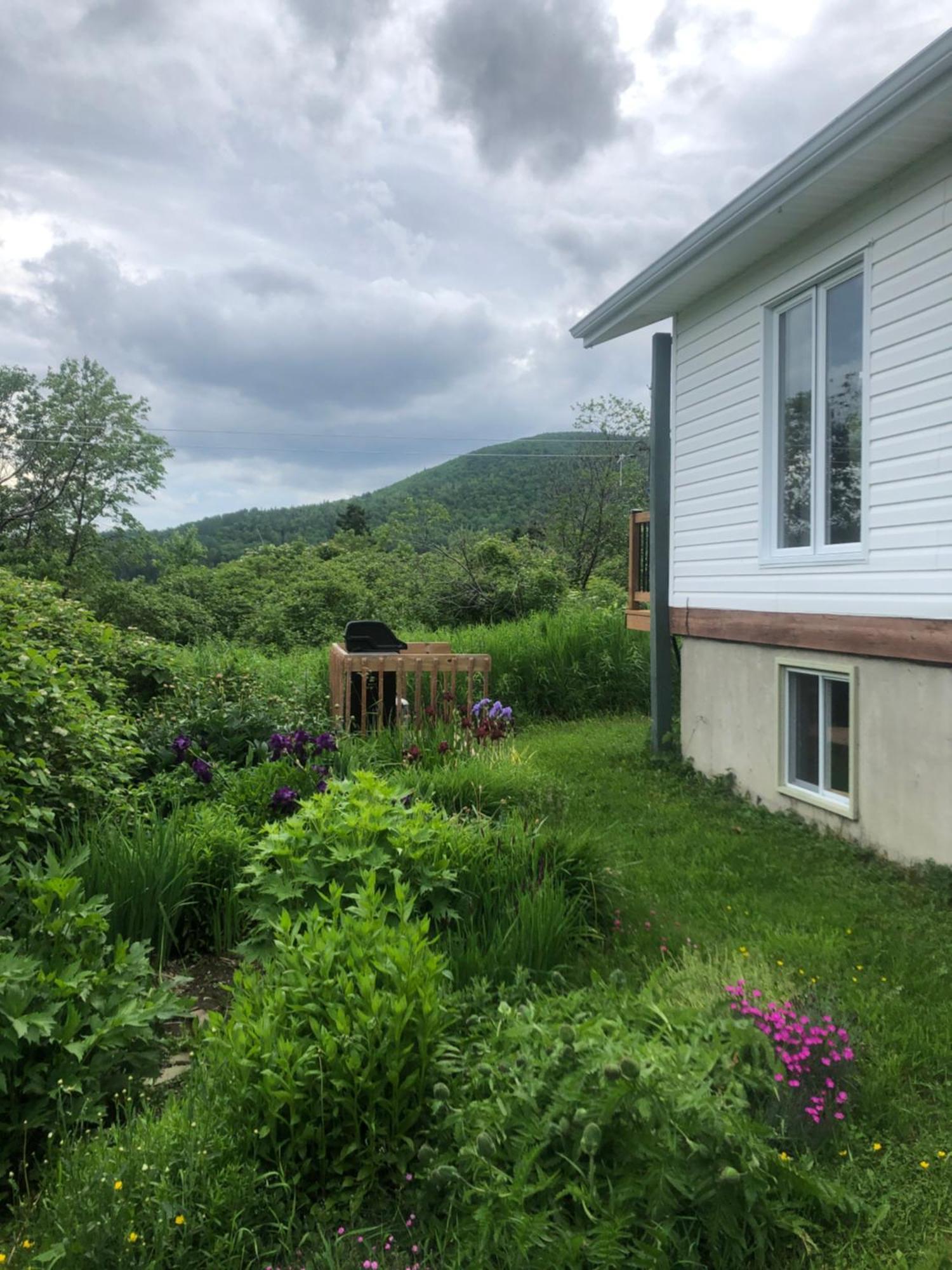Chalets Les Chanterelles De Forillon L'Anse-au-Griffon Ngoại thất bức ảnh
